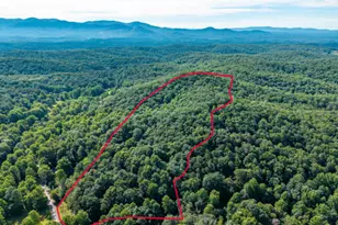 5198 Flat Branch Rd, Ellijay, GA 30540 - Photo 5