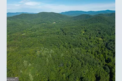5198 Flat Branch Road, Ellijay, GA 30540 - Photo 9