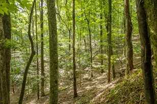 5198 Flat Branch Rd, Ellijay, GA 30540 - Photo 13