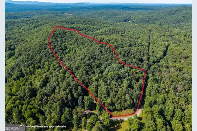 5198 Flat Branch Road, Ellijay, GA 30540 - Photo 7