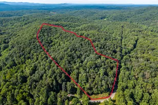 5198 Flat Branch Rd, Ellijay, GA 30540 - Photo 7