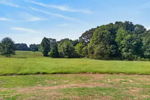 1040 Roopville Veal Rd, Roopville, GA 30170 - Photo 45