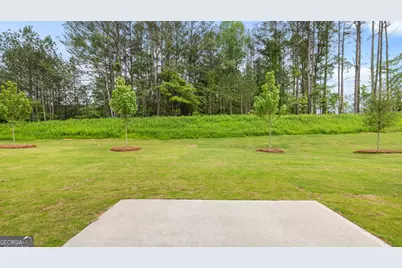 17 Woodbrook Trail, Newnan, GA 30265 - Photo 23