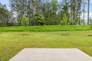 17 Woodbrook Trl, Newnan, GA 30265 - Photo 23