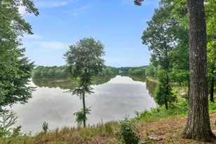 1445 Lake Forest Ln, McDonough, GA 30253 - Photo 35