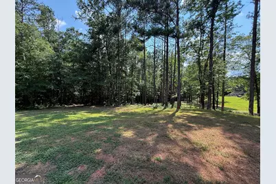 245 Lake Talbot Road, Box Springs, GA 31801 - Photo 27