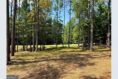 245 Lake Talbot Road, Box Springs, GA 31801 - Photo 29
