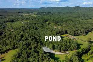 794 Halls Valley Rd, Trion, GA 30753 - Photo 25