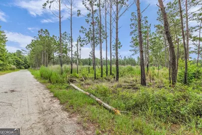 000 Wood Grove Lane, Richmond Hill, GA 31324 - Photo 3