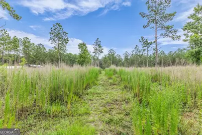 000 Wood Grove Lane, Richmond Hill, GA 31324 - Photo 7