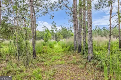 000 Wood Grove Lane, Richmond Hill, GA 31324 - Photo 5
