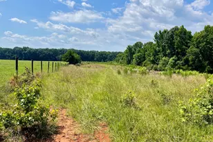 495 Bragg Rd, Monticello, GA 31064 - Photo 49