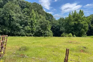 495 Bragg Rd, Monticello, GA 31064 - Photo 51