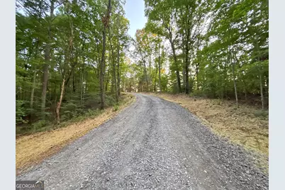 Lot 20 Mt Springer Road, Ellijay, GA 30540 - Photo 21