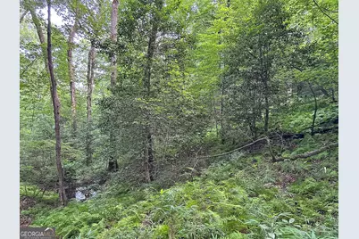 Lot 20 Mt Springer Road, Ellijay, GA 30540 - Photo 23