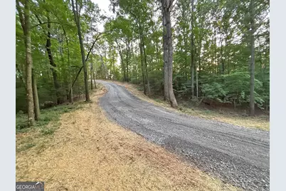 Lot 20 Mt Springer Road, Ellijay, GA 30540 - Photo 17
