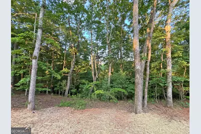 Lot 20 Mt Springer Road, Ellijay, GA 30540 - Photo 15