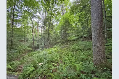Lot 20 Mt Springer Road, Ellijay, GA 30540 - Photo 29