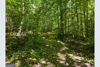 51 Haddock Drive, Blue Ridge, GA 30513 - Photo 35