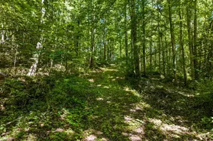 51 Haddock Dr, Blue Ridge, GA 30513 - Photo 35