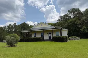 479 Old Poor Robin Rd, Sylvania, GA 30467 - Photo 1