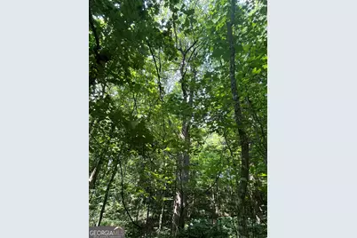 0 Monument Road, Jasper, GA 30143 - Photo 11