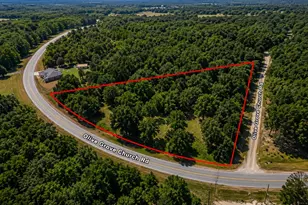 1 77 Acres Olive Grove Church Rd, Roberta, GA 31078 - Photo 1