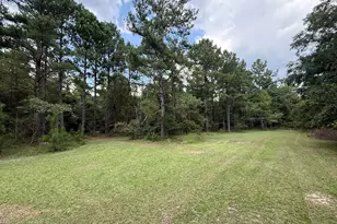 3356 Hwy 338, Dexter, GA 31019 - Photo 45