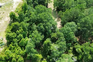 3356 Hwy 338, Dexter, GA 31019 - Photo 15
