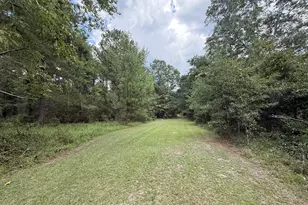 3356 Hwy 338, Dexter, GA 31019 - Photo 41