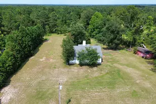 3356 Hwy 338, Dexter, GA 31019 - Photo 3