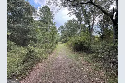 3356 Hwy 338, Dexter, GA 31019 - Photo 43