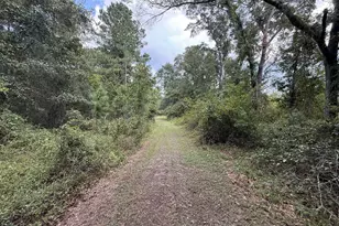 3356 Hwy 338, Dexter, GA 31019 - Photo 43