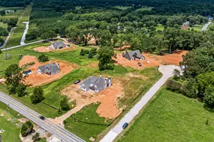 0 Bob Smith Rd, Sharpsburg, GA 30277 - Photo 5