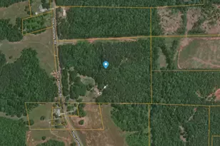 1793 Trice Cemetery Rd, Thomaston, GA 30286 - Photo 57