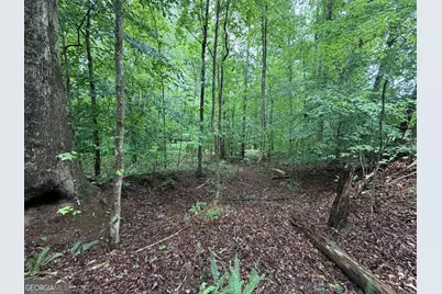 2 Acres Pettit Road, Jasper, GA 30143 - Photo 11