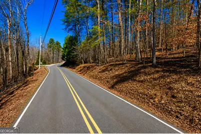 2 Acres Pettit Road, Jasper, GA 30143 - Photo 7
