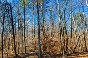2 Acres Pettit Rd, Jasper, GA 30143 - Photo 1