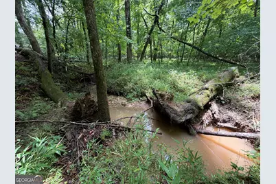 2 Acres Pettit Road, Jasper, GA 30143 - Photo 3