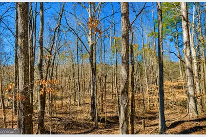 2 Acres Pettit Road, Jasper, GA 30143 - Photo 7