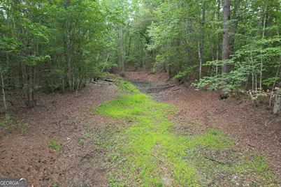 1.5 Acres Mt Pleasant Road, Clyo, GA 31303 - Photo 11