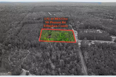 1.5 Acres Mt Pleasant Road, Clyo, GA 31303 - Photo 3
