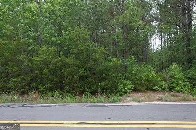 1.5 Acres Mt Pleasant Road, Clyo, GA 31303 - Photo 15