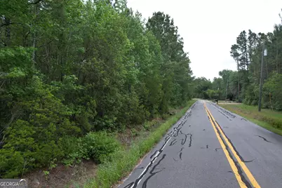 1.5 Acres Mt Pleasant Road, Clyo, GA 31303 - Photo 17