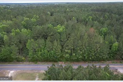 1.5 Acres Mt Pleasant Road, Clyo, GA 31303 - Photo 19