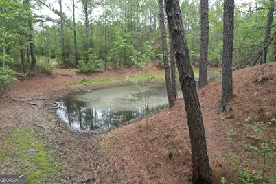 1.5 Acres Mt Pleasant Road, Clyo, GA 31303 - Photo 13