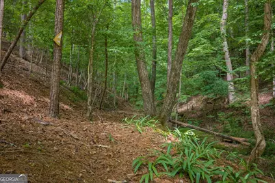 109 Edgewater Drive, Ellijay, GA 30540 - Photo 21