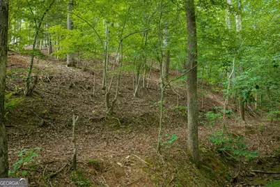 109 Edgewater Drive, Ellijay, GA 30540 - Photo 23