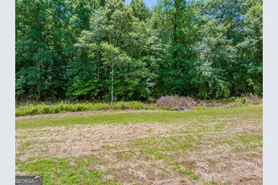 47.7 Acres Cochran Road, Madison, GA 30650 - Photo 5