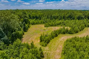 47 7 Acres Cochran Rd, Madison, GA 30650 - Photo 1